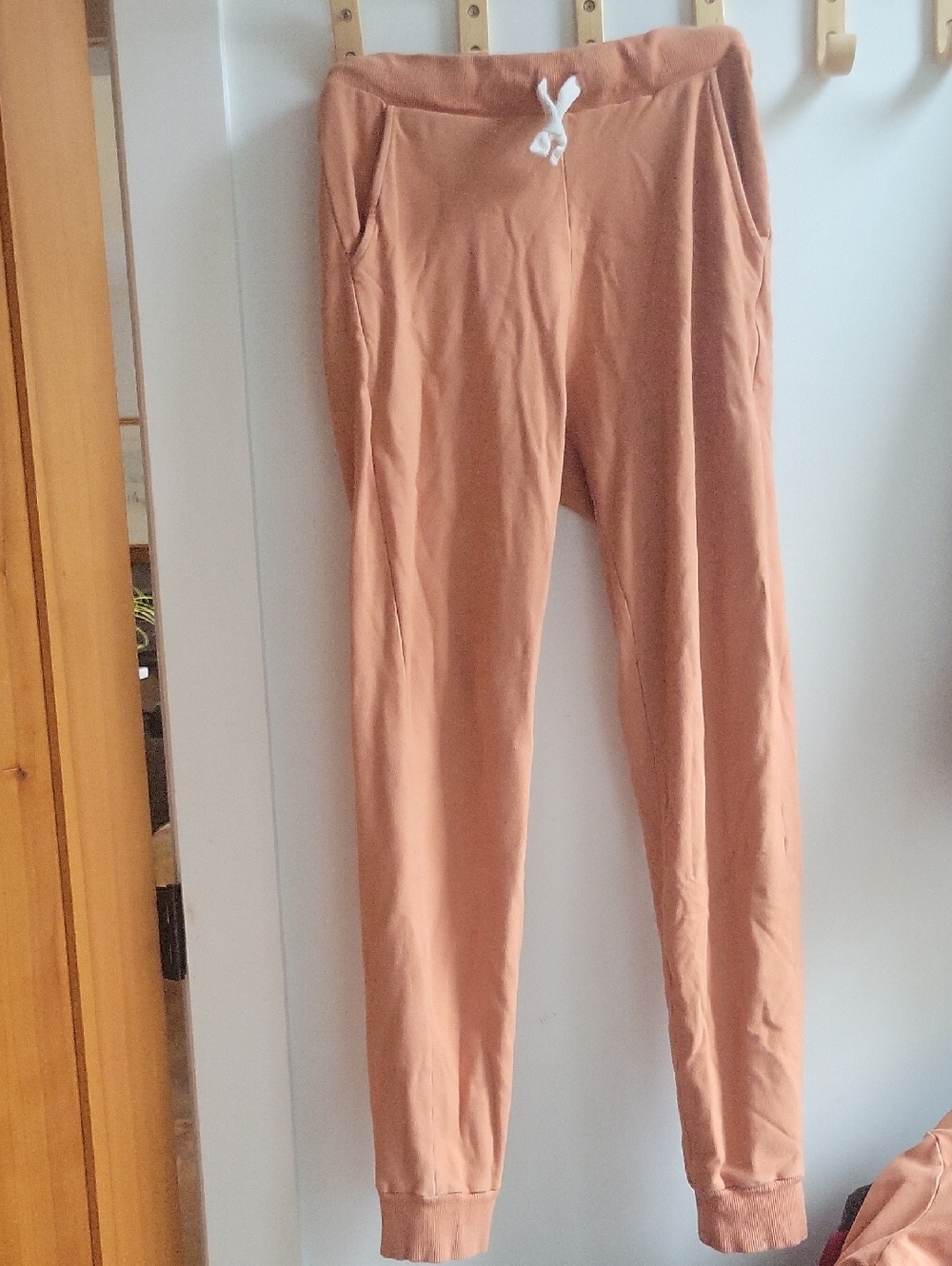 Rowe Joggers Size Medium Womens Terracotta